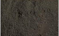 5-harpet_muld